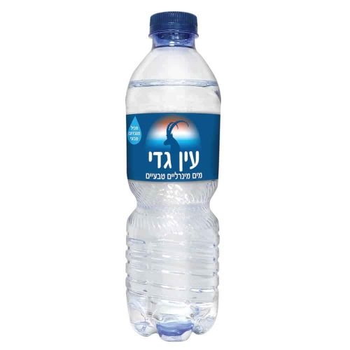 מים מינרלים